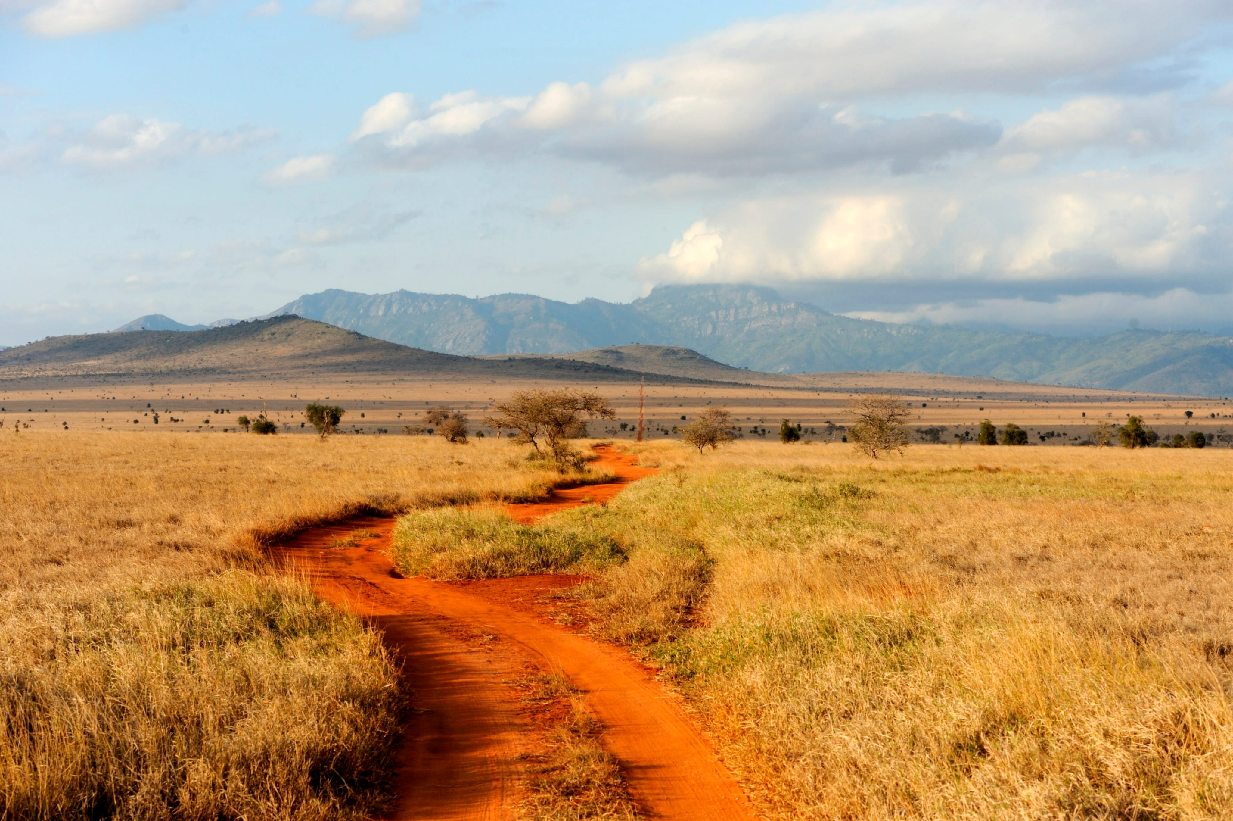 Classic Safari Adventure: Kenya & Tanzania