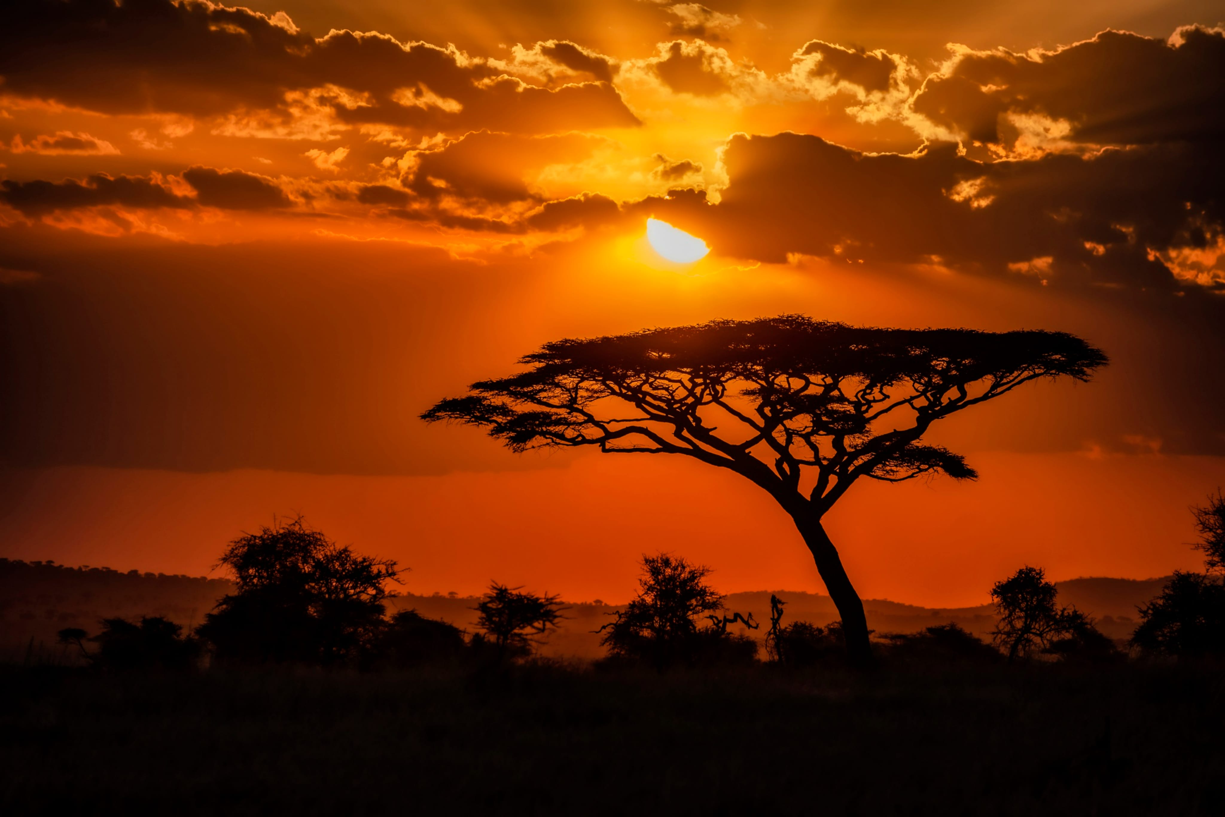 Classic Safari Adventure: Kenya & Tanzania