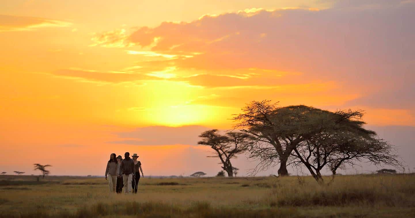 Serengeti National Park, Tanzania