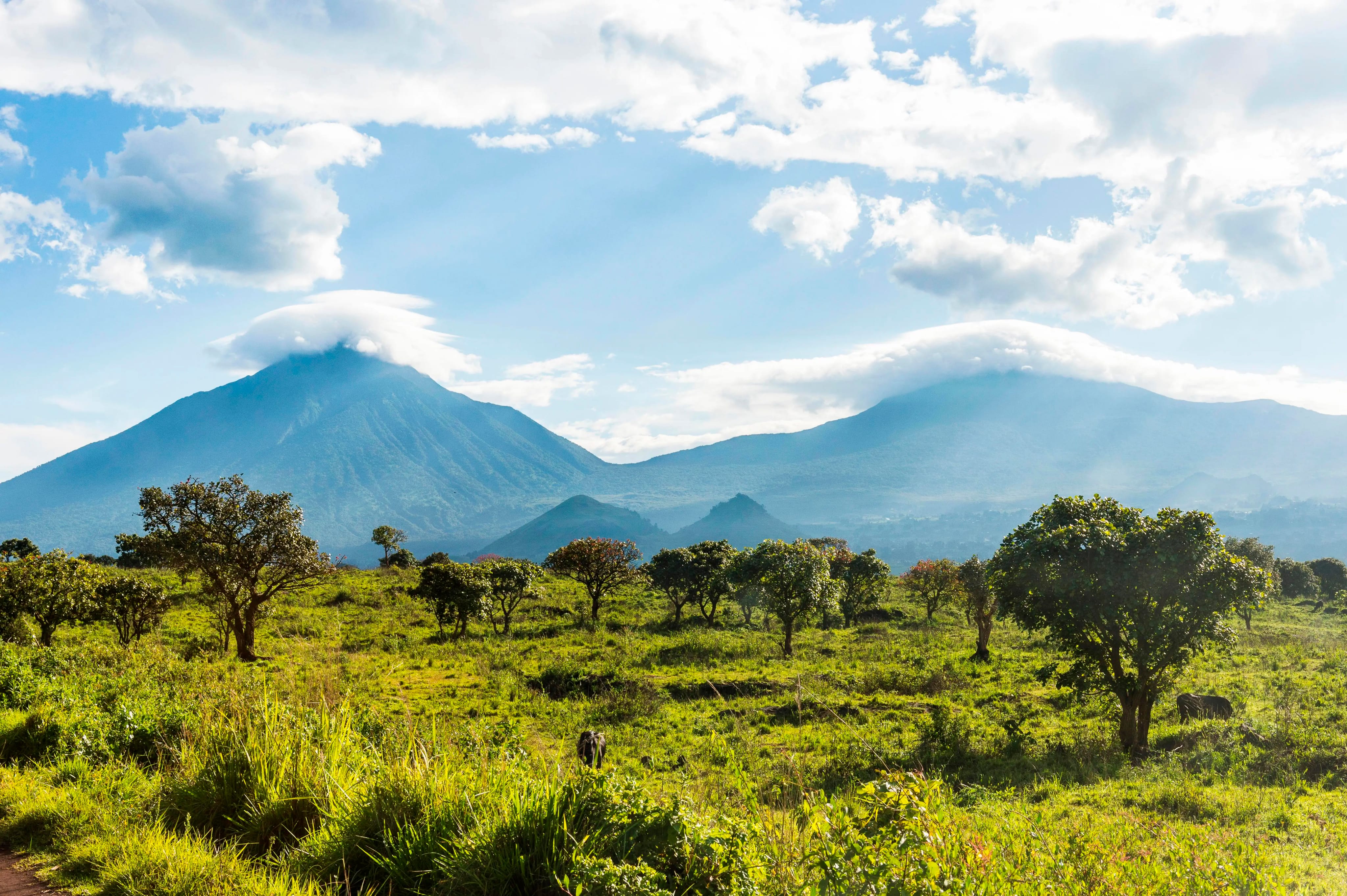 Virunga National Park, Congo